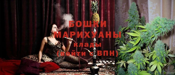 винт Новозыбков
